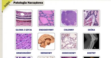 baza obrazów histopatologicznych baza obrazów histopatologicznych