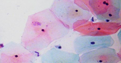 Wrocławskie Dni Cytologii – nowe informacje Wrocławskie Dni Cytologii – nowe informacje