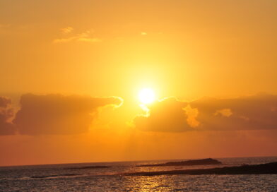 Zaproszenie na Zaawansowany Kurs Patologii Pediatrycznej i Perinatalnej (IPPA)